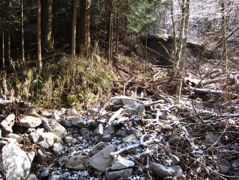 20191129hike (58)